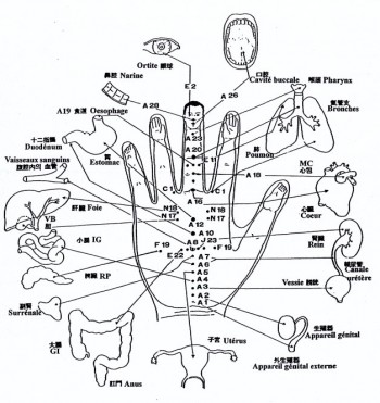 Les médicaments à la thrombose des veines profondes