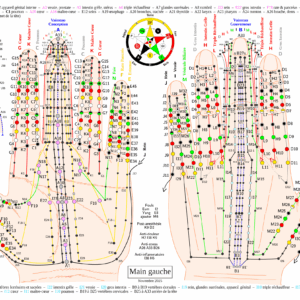 811 Planches mains (A4)